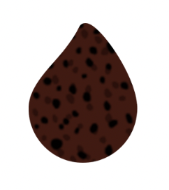 Hazelnut Wafer (€46 per 5kg Bucket) - Ferrero Style